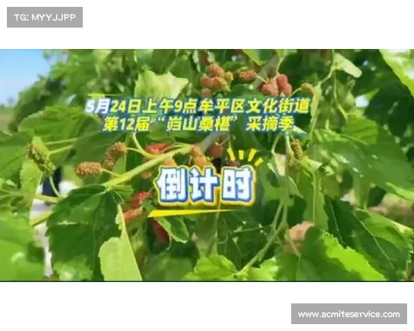 桑野踏云摘星辰!2025 烟台岿山山径赛燃爆初夏,边跑边摘的野趣盛宴 桑野踏云摘星辰!2025 烟台岿山山径赛燃爆初夏,边跑边摘的野趣盛宴